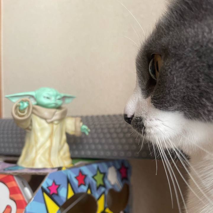 6da341fe a49d 4ab9 824b 155ee8498719 1734159025052