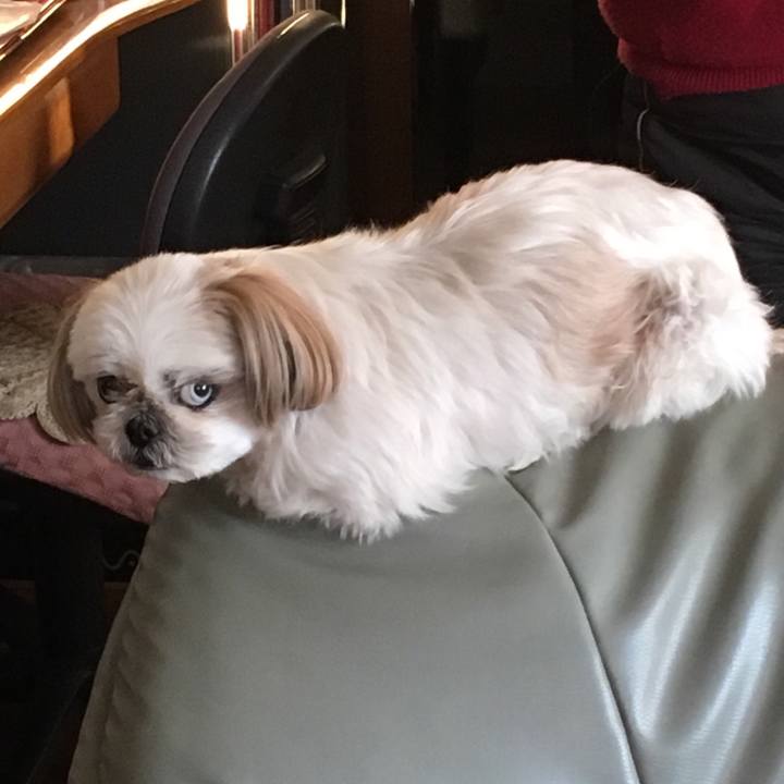 6da39607 3a9e 432d a460 595977517736 1546570438319