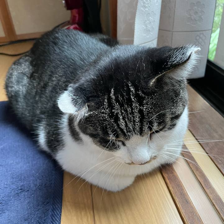 6da39847 c0f7 47be 8ebe 6fce886fb676 1633591353290