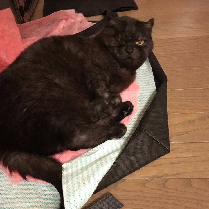 6da398fa 4339 4fc2 83b0 98c131bd5592 1521478257692