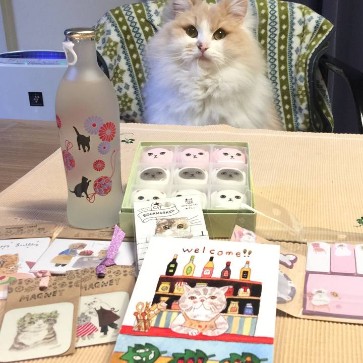 6da3b962 27ee 4d48 bacc f141363bac3a 1550972458329