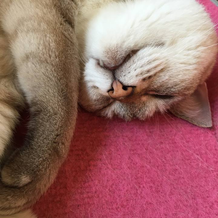 6da3c37a d788 416f 9dd7 11638c2e6f14 1531538495507