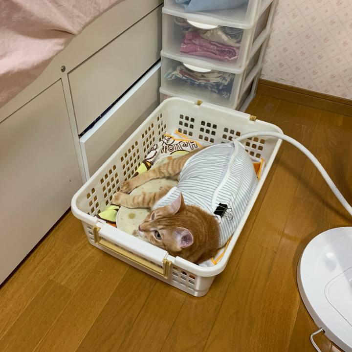 6da41025 b14d 4e66 a4ee 8a38b4d00482 1571842944135