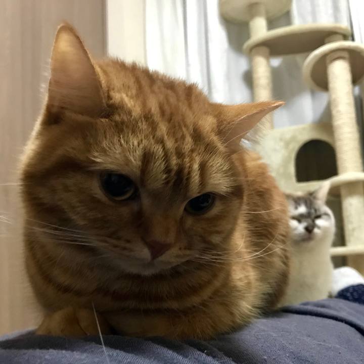 6da42f56 7190 4c36 9141 9b9acfa3c596 1514513247440