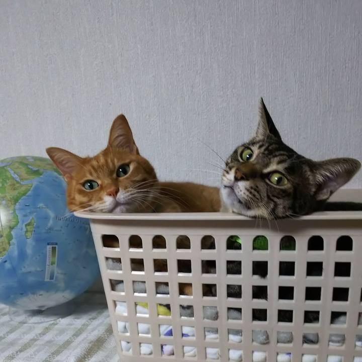 6da44a73 581c 4fd9 b65e 4e9af2a15847 1635615177336