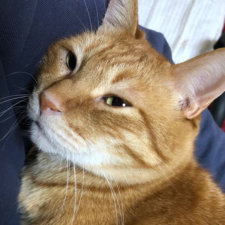 6da45268 8e39 46ff a91c 25f9f972682d 1647465501306