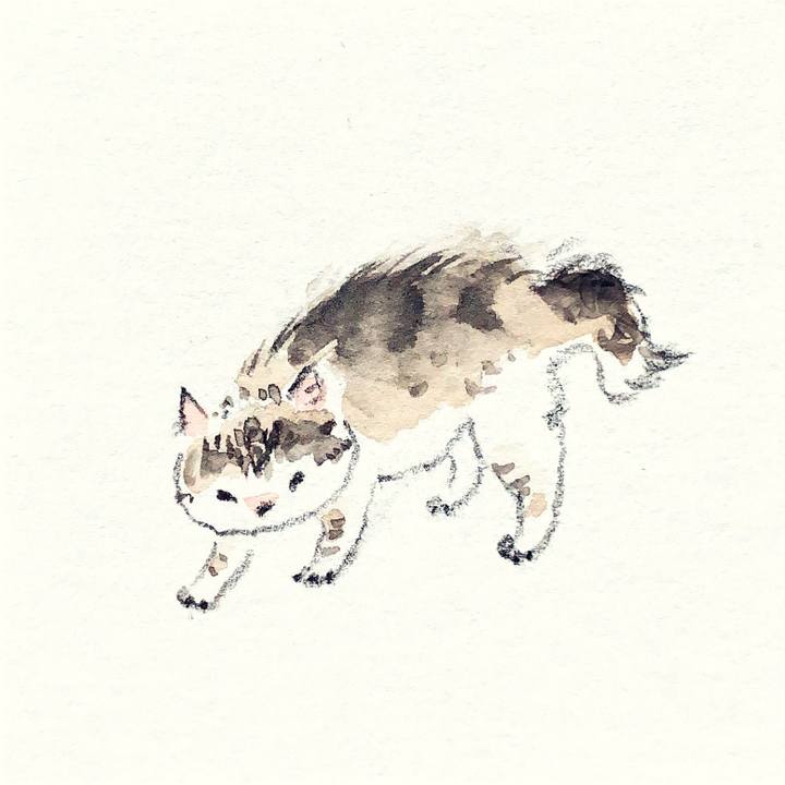 6da46c93 b502 4a88 af21 bdb16c034c58 1642401980180