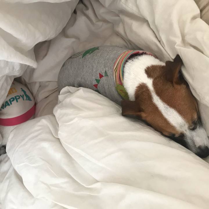 6da476fe fd16 4997 812a a1fb44f2c0ed 1544483959324