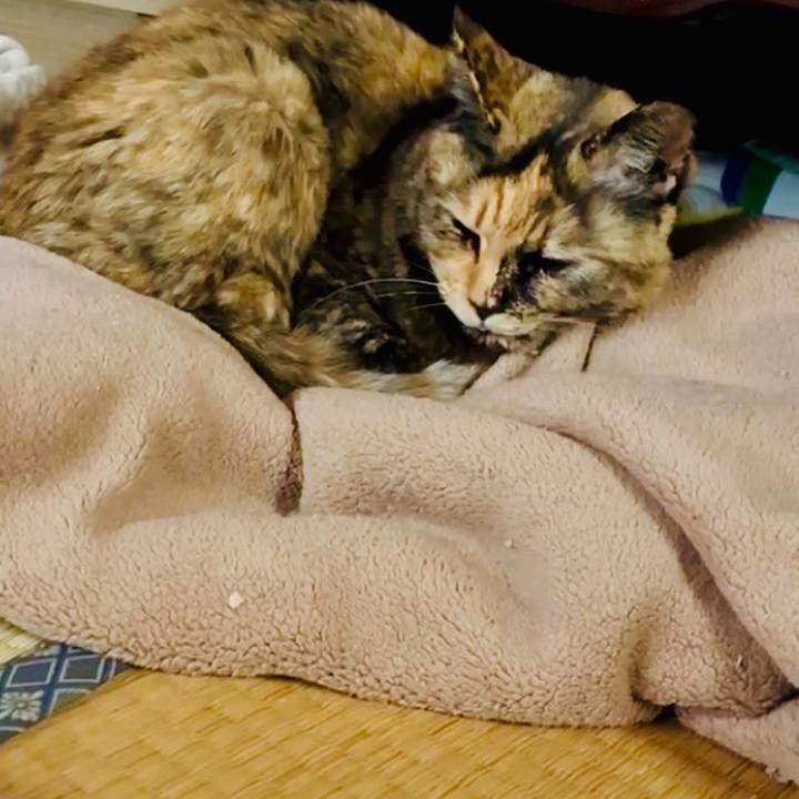 6da48079 d0ea 43e8 823b 2dd115d30748 1774442071883