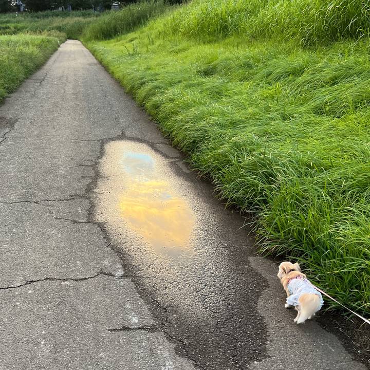 6da48d98 87bb 45b7 bce0 f741428d91c7 1661086398652