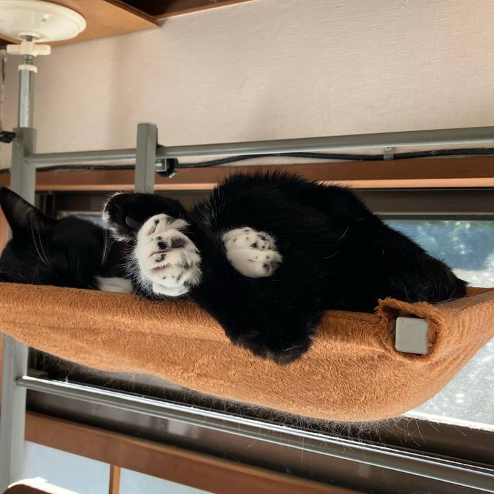 6da4a485 305e 48fd 8514 af115275d0e0 1741594433803