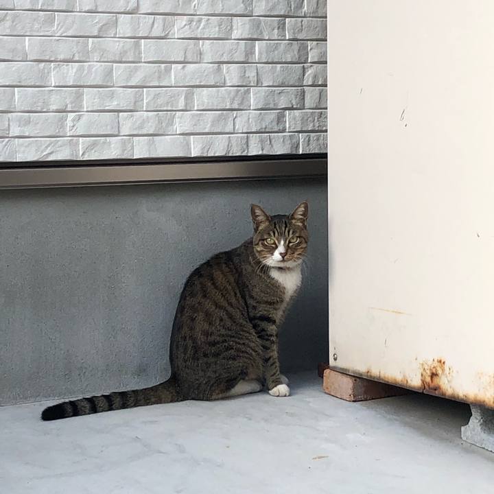 6da4aba1 b4ab 4ad8 9d7e 847f009391bb 1575204962462