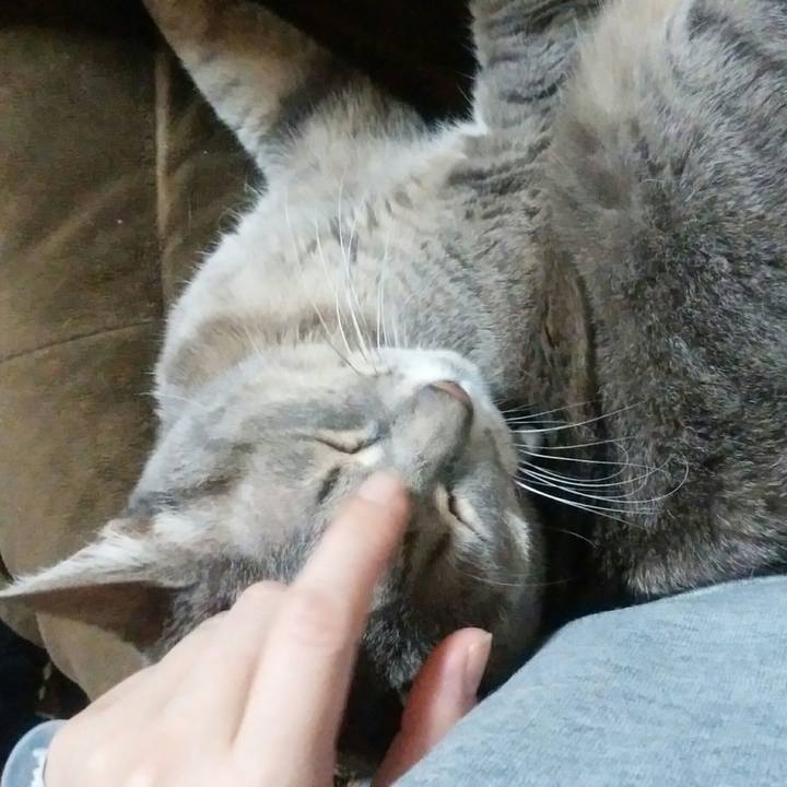 6da4c911 0f1c 437c b034 ff801a2a6981 1517919519835