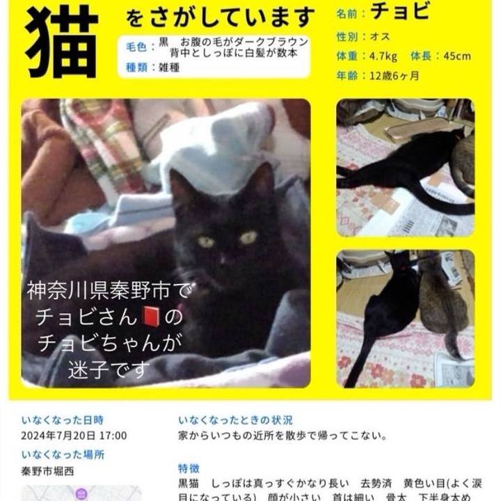 6da52a84 7c08 4c61 b114 9df7877383a4 1734700862568