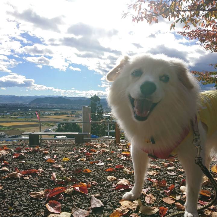 6da564cc 75f3 451b bdf6 3f361808263f 1550405957242