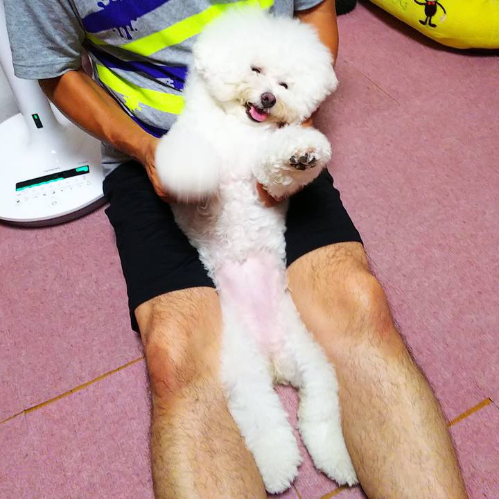 6da5da65 0ff3 4446 a52b 7a4cb44c910c 1564916256612