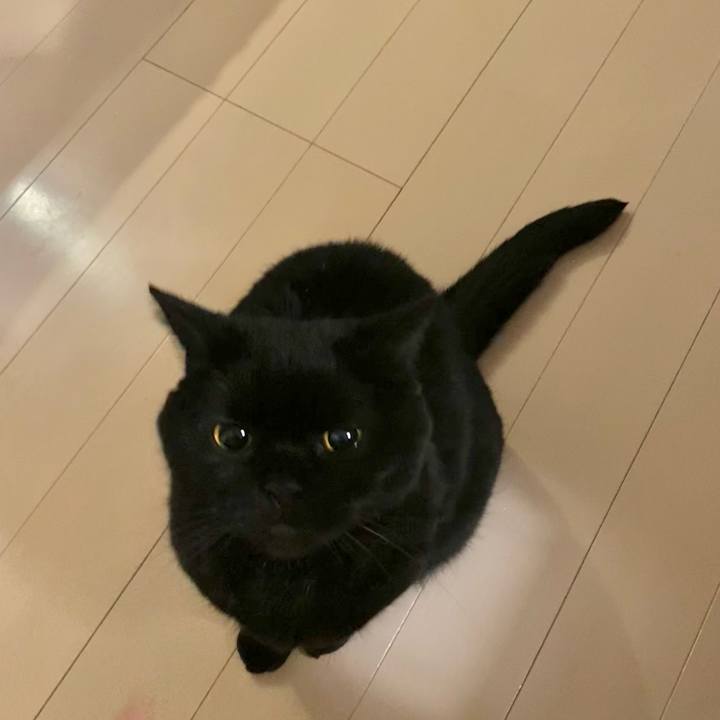 6da5f0cf 9ffc 4f78 8a6c cb66bde315df 1746367831956