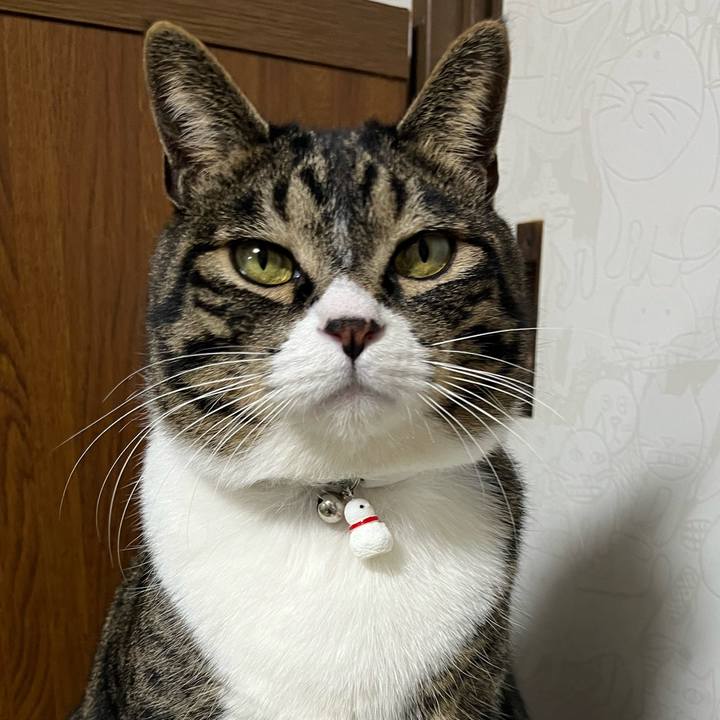 6da5fd42 cfe6 4101 81f9 d6883ea4bf8e 1770163648598