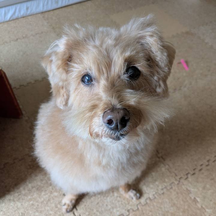 6da6228a 0d57 48bc b899 476ec554948e 1745107062997