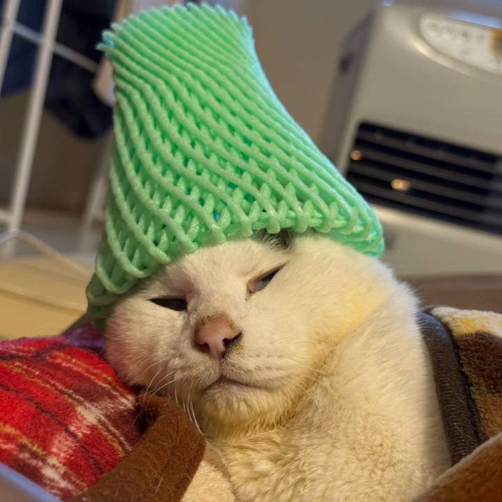 6da62d9f 1917 4e21 8170 93052b584ef3 1767494733494