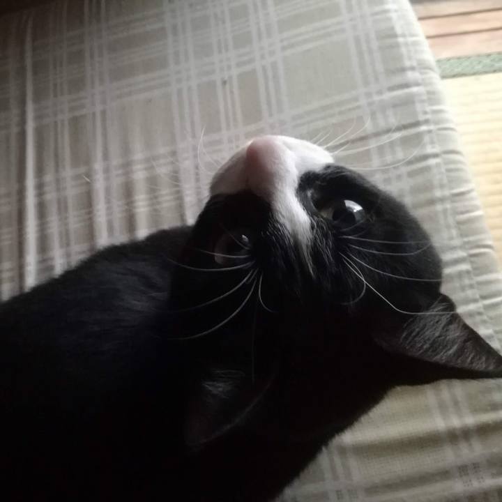 6da633cd 7695 4ca5 898e fad4e8672d3d 1551702939228