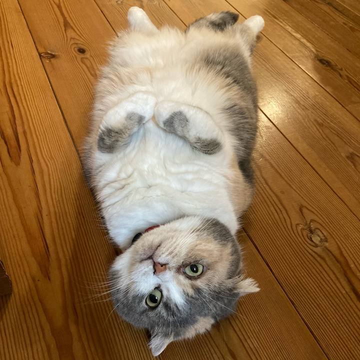 6da6623a 4d08 48ee a804 1fcf0f71547c 1613951753886