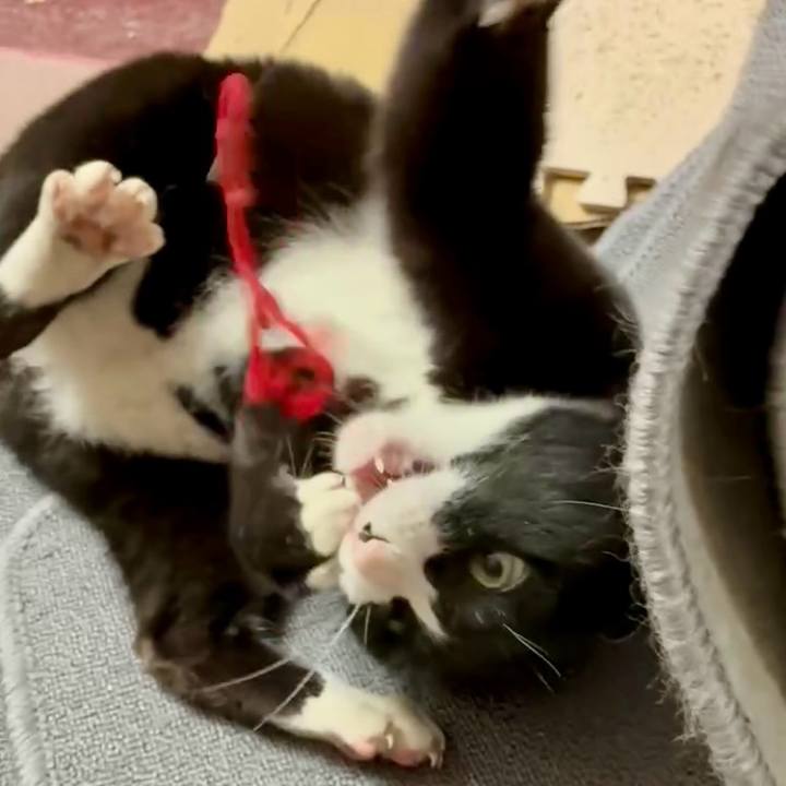 6da67e46 403d 4bc1 b1b9 1383a010c16f 1744250226385