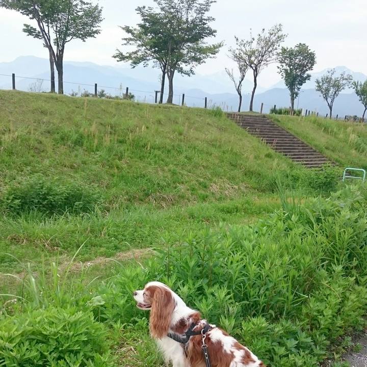 6da6ba73 3bfb 4d81 96d9 f378ca171fa6 1527632750924