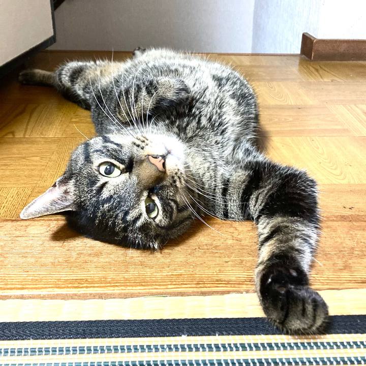 6da6c4d5 2bd0 4deb 991f a2438f3c3cc7 1661666052217