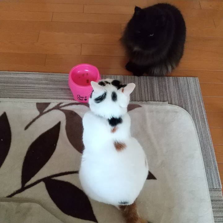 6da6d912 cb92 46f3 92e8 fe9aafe39ba6 1602457926196