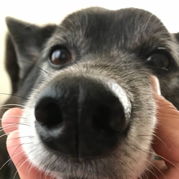 6da6eb1f 0b8b 4584 8f6d 97bbe187e62f 1524574291401