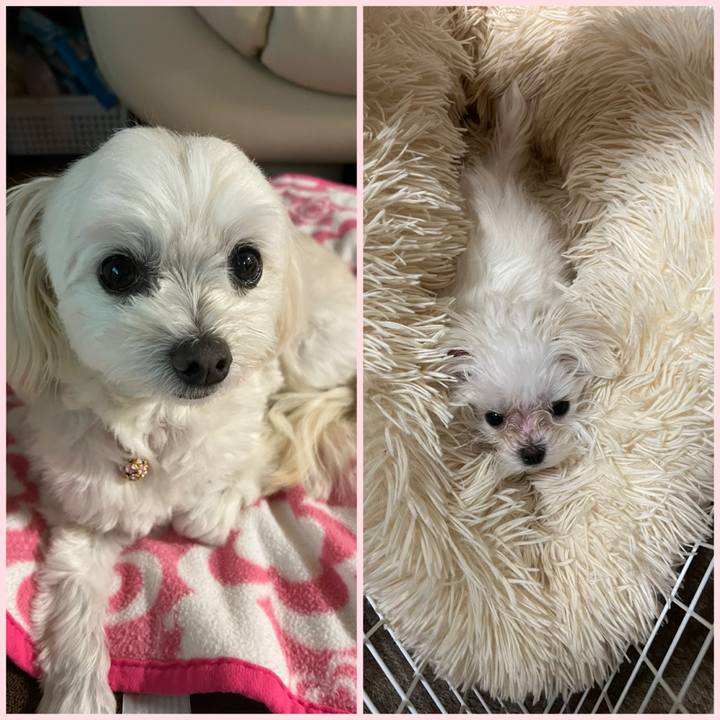 6da6ffe6 4b9b 4f71 a98b 13481c6a1380 1702374226275