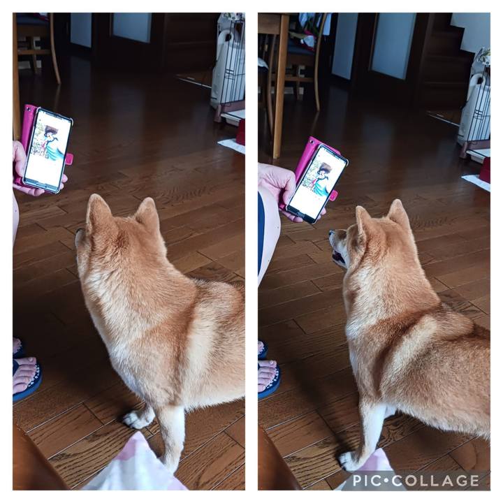 6da72af3 9397 4919 bc52 d6154da627ce 1689204492022