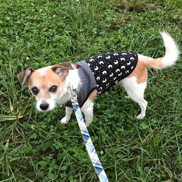 6da74df9 2058 49ec b58e c563e9507133 1602750608539