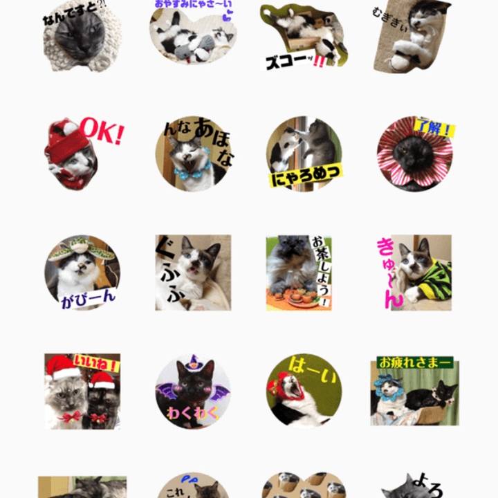 6da77661 7e8c 4455 b510 c323cee72aa8 1554951887767