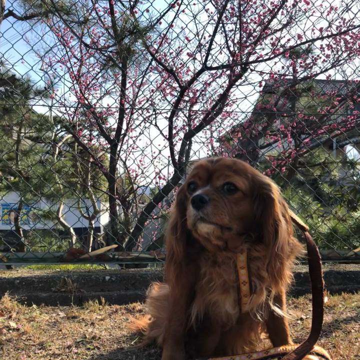 6da780a2 aa5f 4a6b 9df8 0e6cc74d4df5 1615078459523