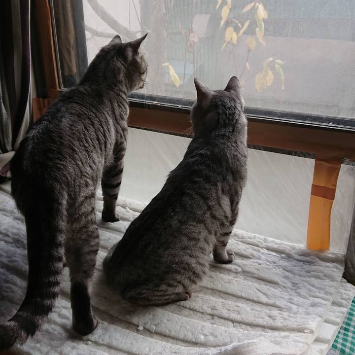 6da79ce4 a5eb 466e 8156 ca50b9d77b0d 1542175869134