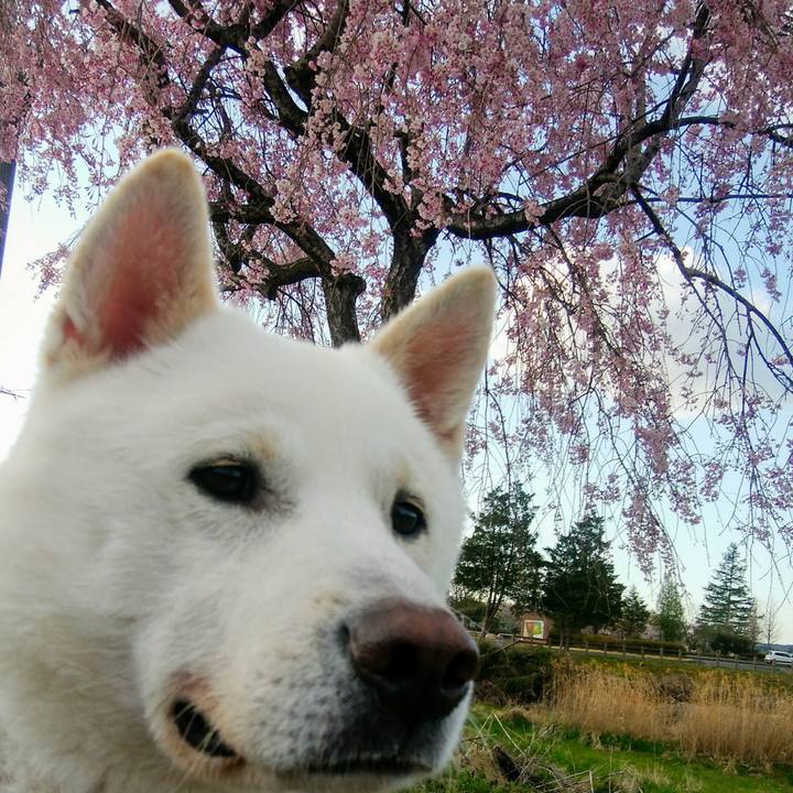 6da7c88b 352b 49f1 99b4 0442cfd0da07 1618123254772