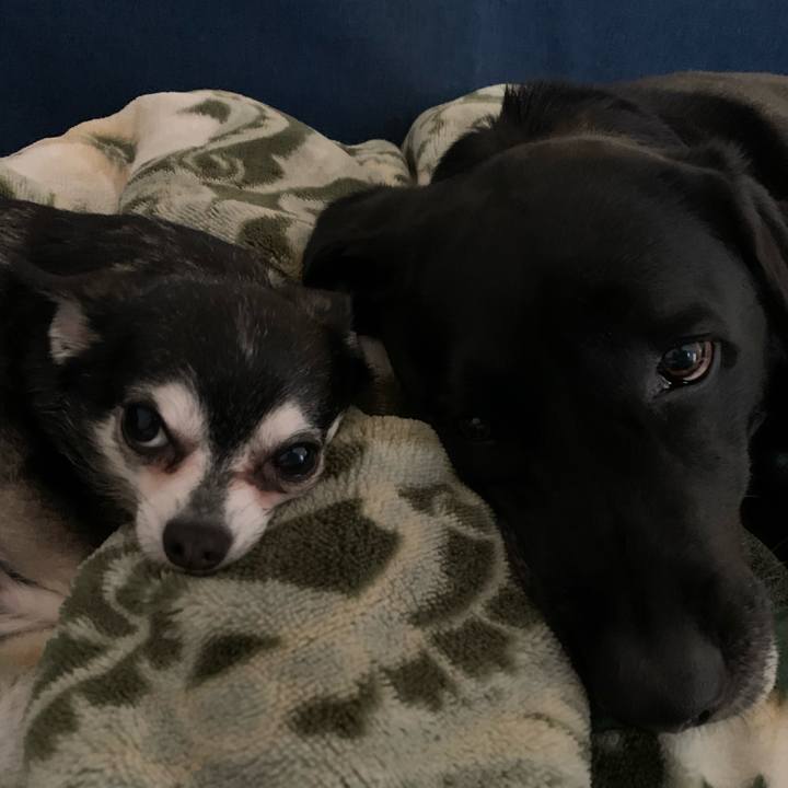 6da8614e 97ab 4b79 9940 cd3e74fc10c7 1681767421887