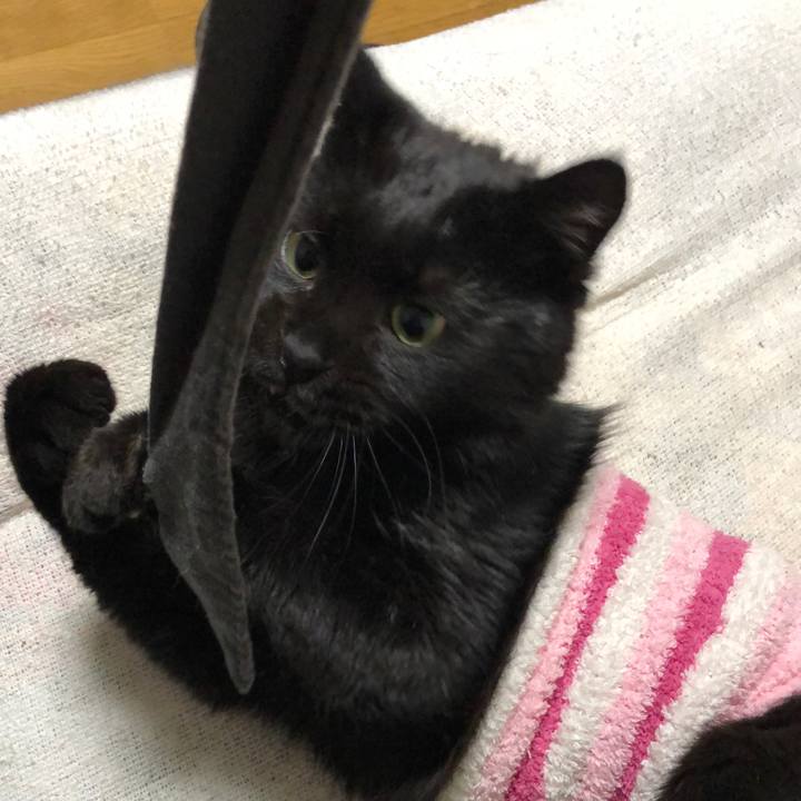 6da867fc 4553 41c9 b3cb 67ae119013a5 1610544648650