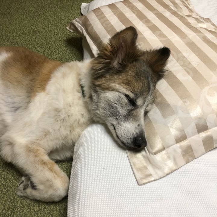 6da8703a d3a4 424c b185 4f5ea142f729 1534522448022