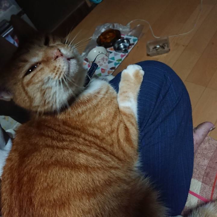 6da873f7 5322 44e5 8260 db1d8934c435 1600634206129