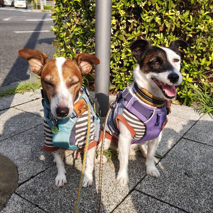 6da8c2ca 50b3 45c7 a5fc 9a22ed830c23 1723935269538