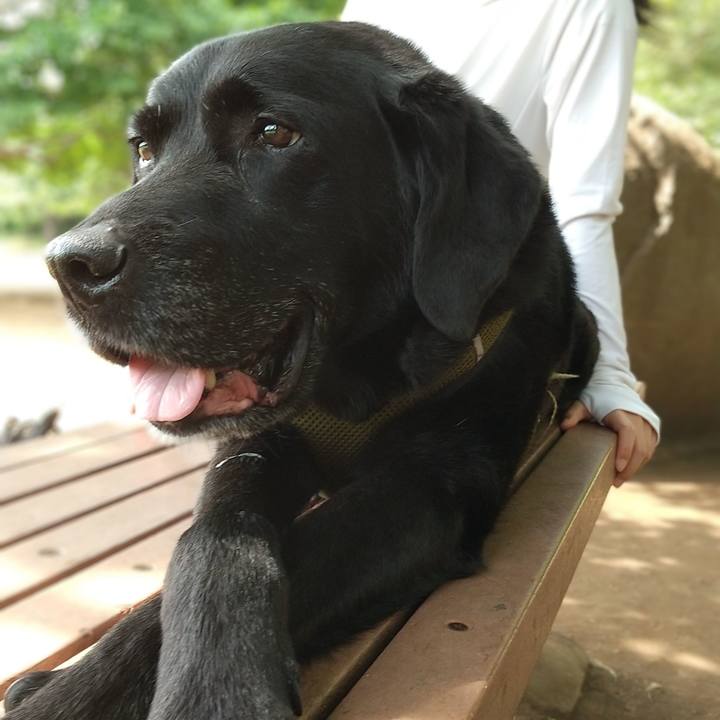 6da8ca77 cfda 4edd 954a 787f14375427 1737486117252