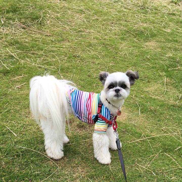 6da926a1 ff89 4b86 9ae4 50ccb0f94807 1527306596705