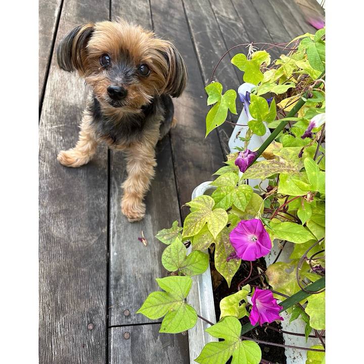 6da94a15 54a2 4f4d a0fd 48e72fe26f4e 1759014444296