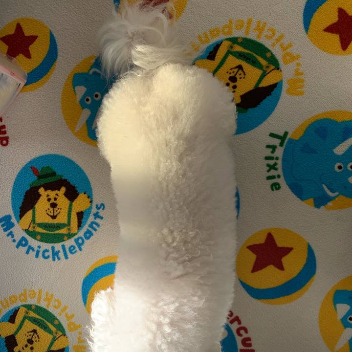 6da95bd0 3463 43e7 a34e 671851c7ec95 1573600485430