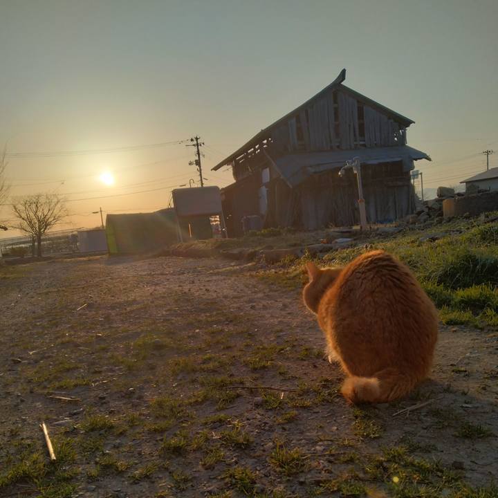 6da99fd0 8ab0 42ee afd1 bca55ab9c2ef 1680559593935