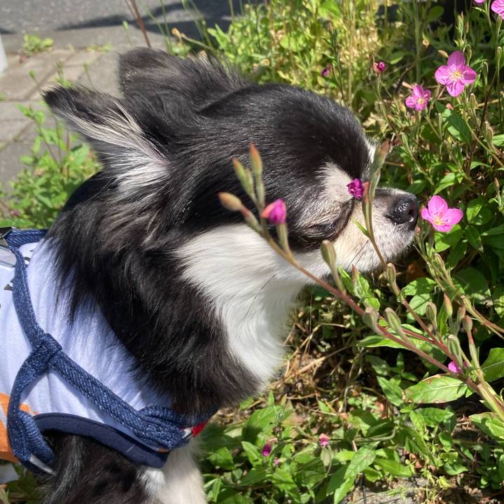 6daa3677 aeab 49d5 8c8e 112b6cd2d8c8 1619844146069