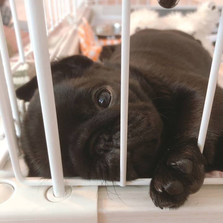 6daa5418 6156 4967 9eb5 cefa63ad5709 1586753544189